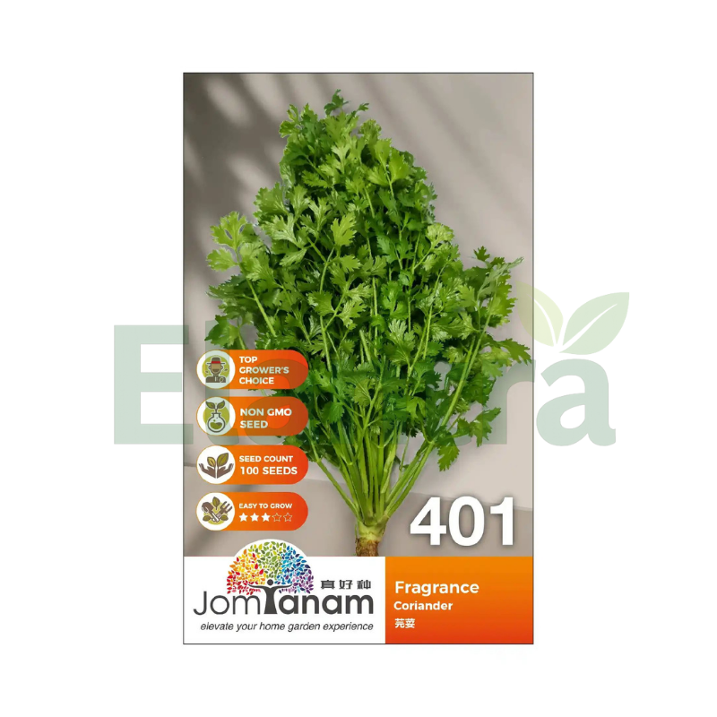 401 CORIANDER